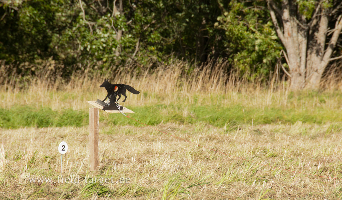 0312   Sihid rebase ninaotsa ja saad pihta sabale, kui onneks laheb